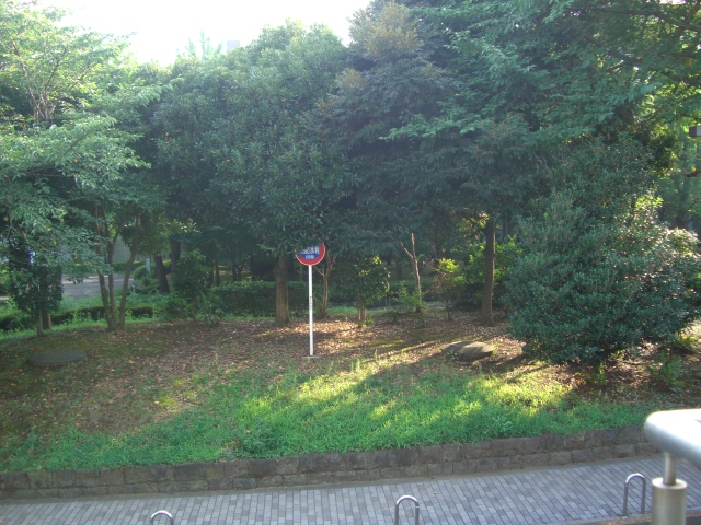 b0143709_16403945.jpg