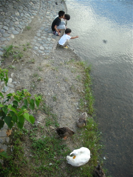 c0145209_23593452.jpg