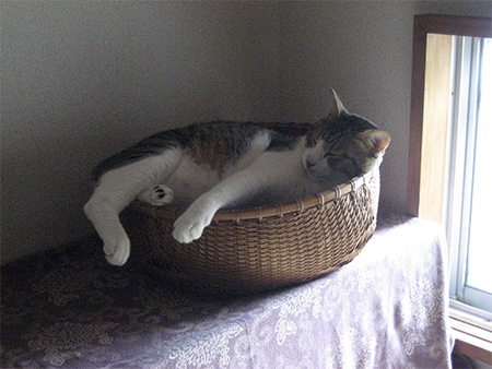 c0114110_154453.jpg