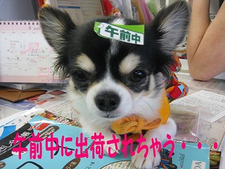 f0149420_17445335.jpg