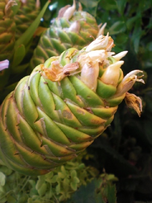 e0127926_17131066.jpg