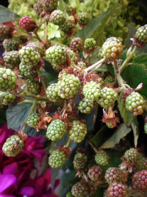 e0127926_17133067.jpg