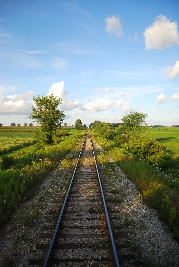 f0111926_020664.jpg