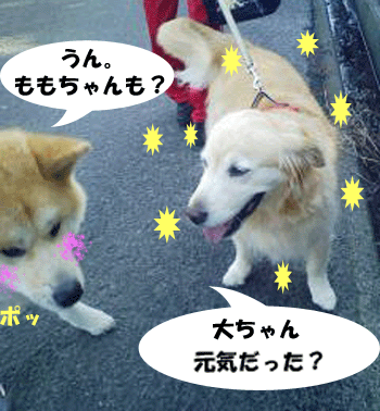 f0008935_056372.gif