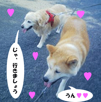 f0008935_0564711.gif