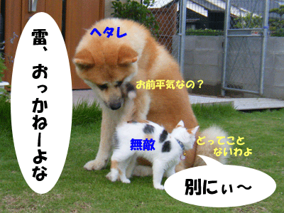 f0008935_1162584.gif