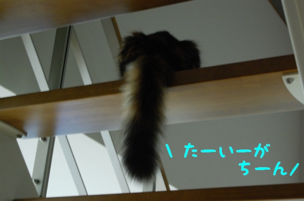 c0181639_18165281.jpg