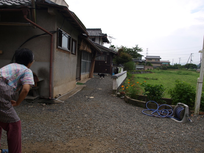c0072843_19223740.jpg