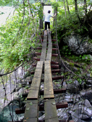 e0005548_127155.jpg