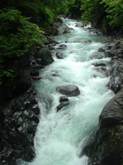 e0005548_1282739.jpg