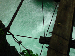 e0005548_1303487.jpg