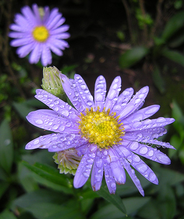 a0001354_2117454.jpg