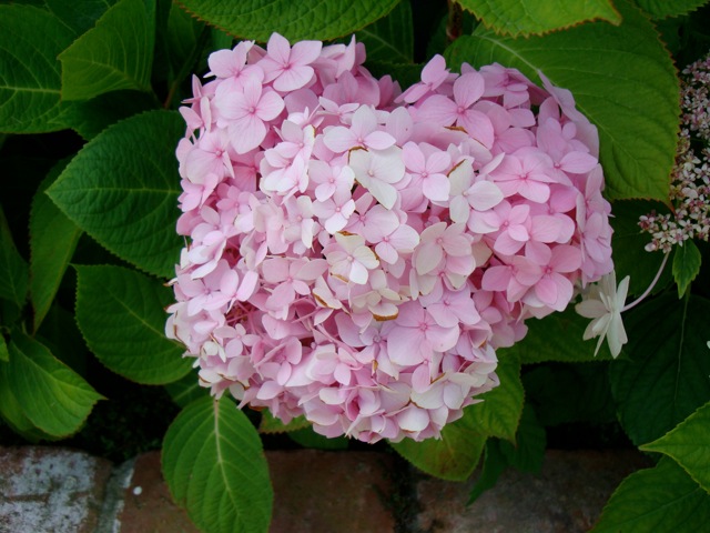 f0198556_1416098.jpg
