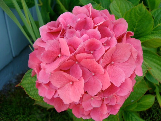 f0198556_14163956.jpg