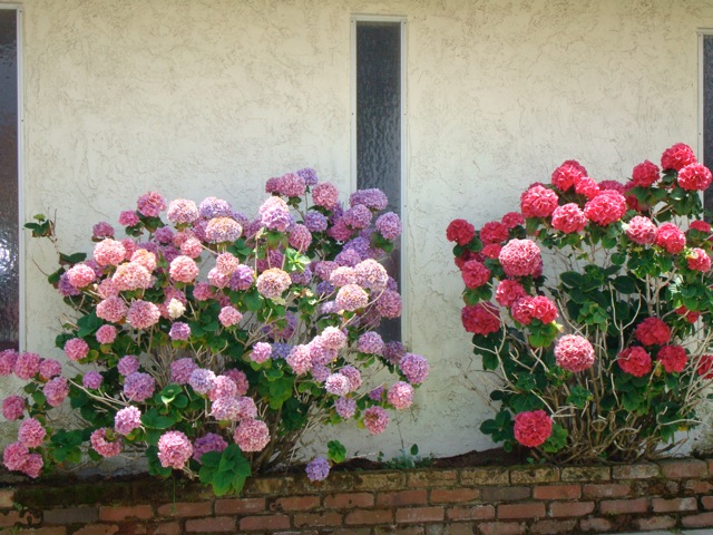 f0198556_14175487.jpg