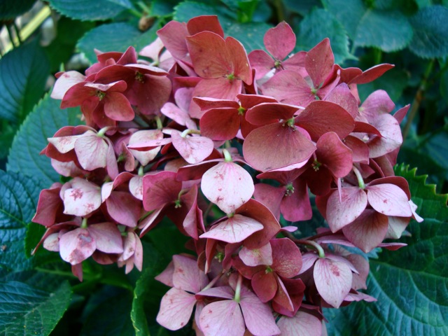 f0198556_14183353.jpg