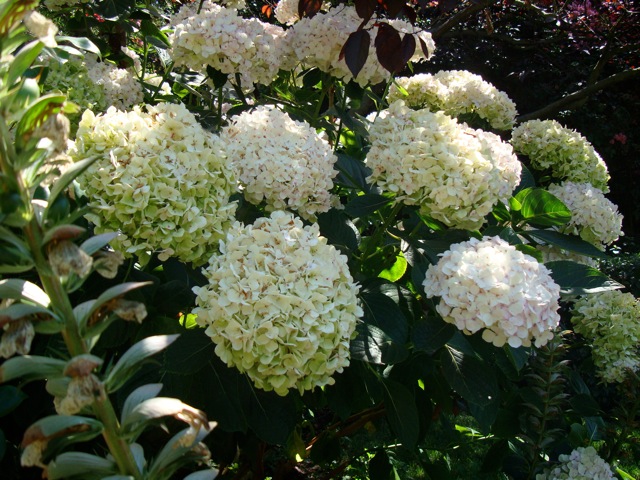 f0198556_1419595.jpg