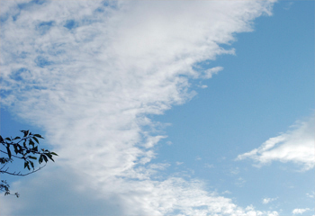 c0181457_2382642.jpg