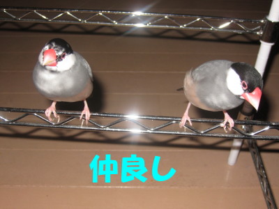 b0158061_2036299.jpg
