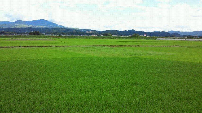 f0180261_12312347.jpg