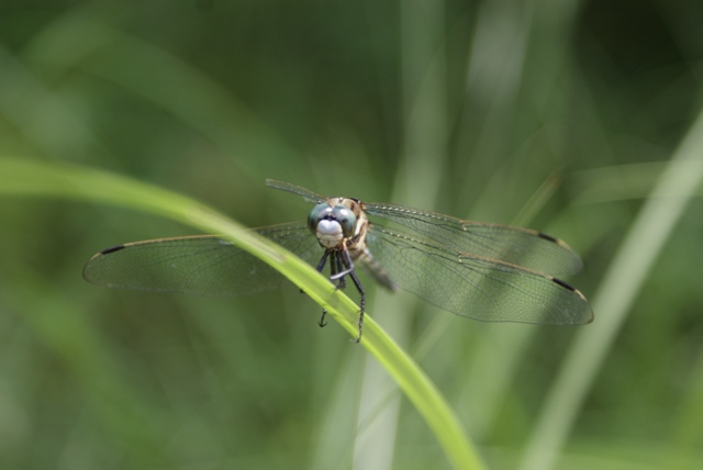 a0091666_2022264.jpg
