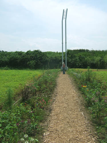 e0176366_17535432.jpg