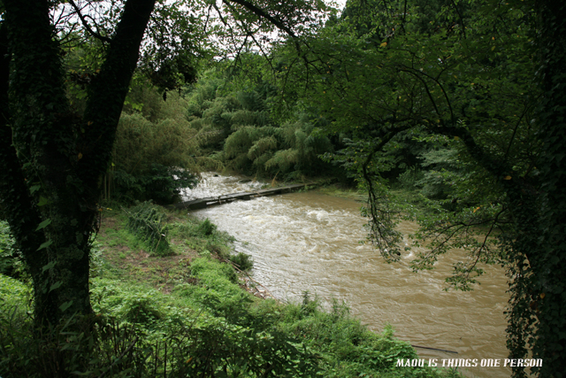 f0096666_22294575.jpg