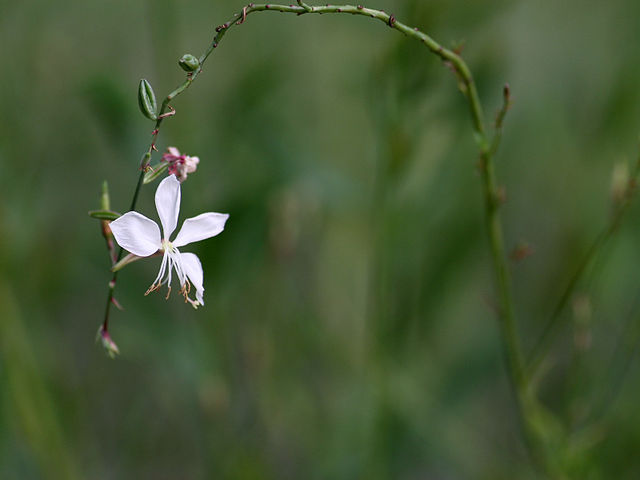 f0131866_0145914.jpg