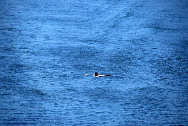 b0174068_23534395.jpg