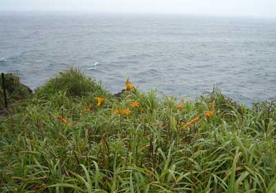e0097770_02032.jpg