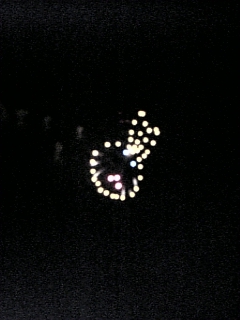 b0069471_15482699.jpg