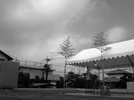 a0013479_1724253.jpg