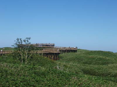 b0142688_8385612.jpg