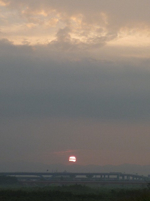 a0118289_157184.jpg