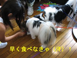 e0121589_0145276.jpg