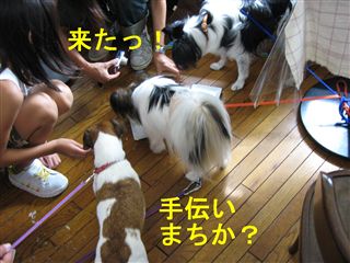 e0121589_0151486.jpg