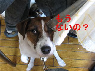 e0121589_017711.jpg