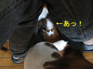 e0121589_0182847.jpg