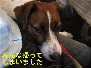 e0121589_0312632.jpg