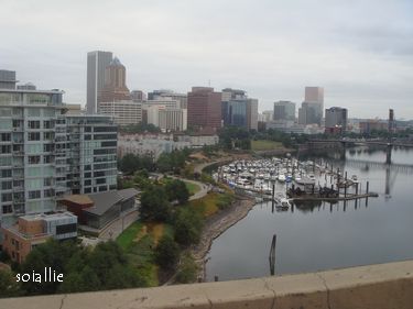 b0166491_13494574.jpg