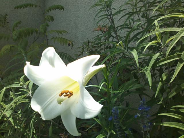 f0077595_12401127.jpg