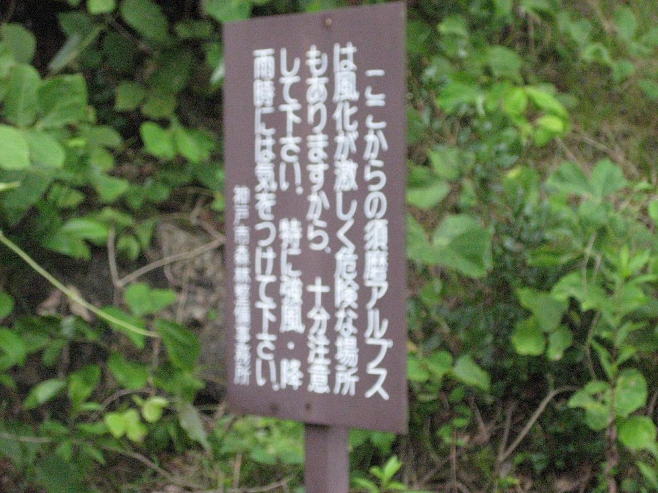 f0013998_17545572.jpg