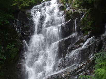 c0103205_22143724.jpg