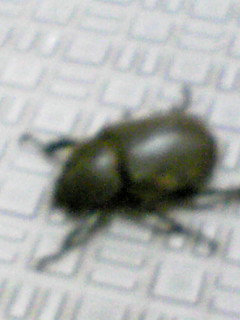 f0151905_13202069.jpg