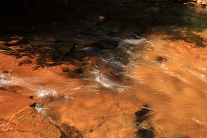 e0121814_2512176.jpg
