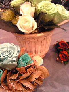 a0052621_16242517.jpg