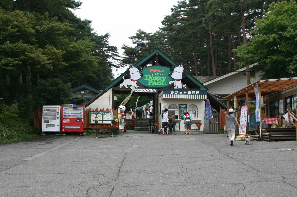 e0109622_819462.jpg