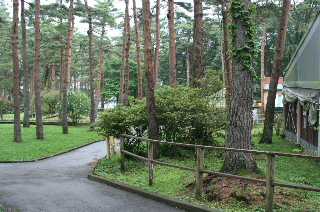 e0109622_8314985.jpg