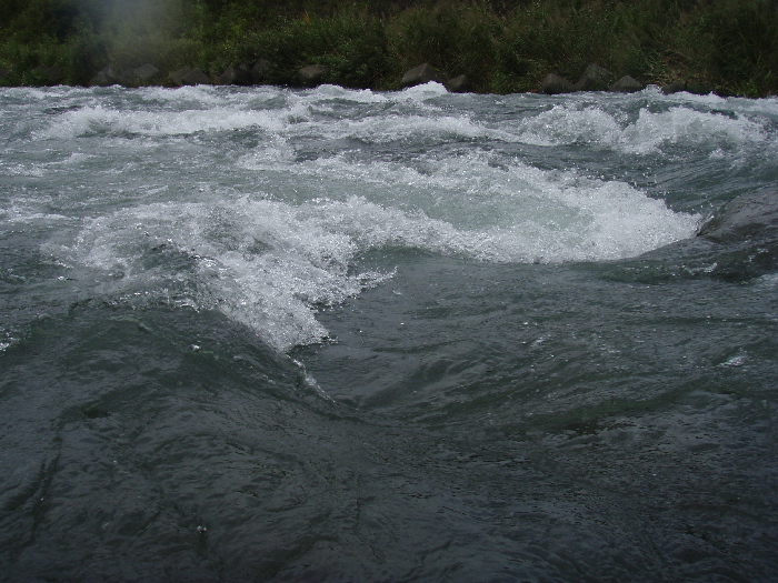 f0103126_22551837.jpg