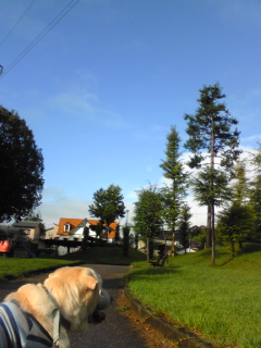 b0181027_13355549.jpg